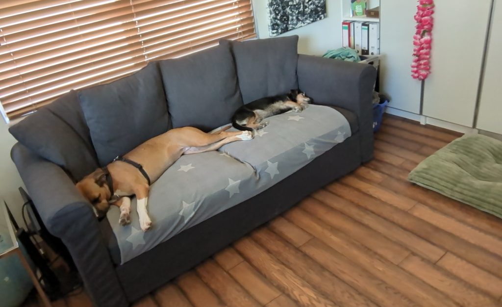 luxury vinyl plank flooring cleaned with OdoBan no rinse neutral pH floor cleaner