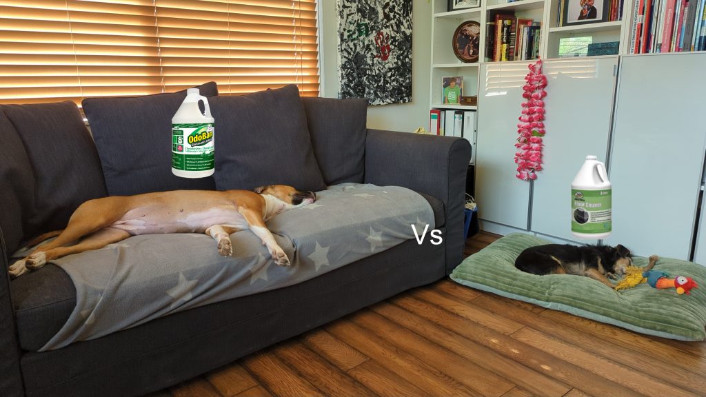 Odoban vs Zep Two dogs relaxing in a clean room with neutral pH floor cleaner bottles added to the image, showing a playful side-by-side comparison of pet-safe cleaning products.